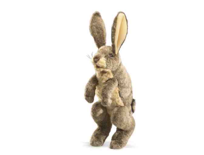 Jack Rabbit Hand Puppet/Stuffed Animal from Folkmanis