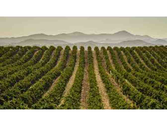 2018 Diora Monterey Vineyards Wine Duo- Pinot Noir and Chardonnay - Photo 3