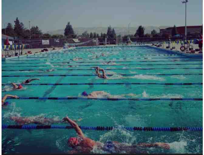 Eight (8) 25 Minute Swim Classes from Thunder Coast Aquatics-Petaluma Swim Center