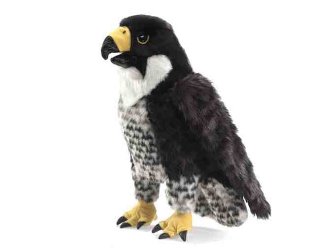 Peregrine Falcon Hand Puppet/Stuffed Animal