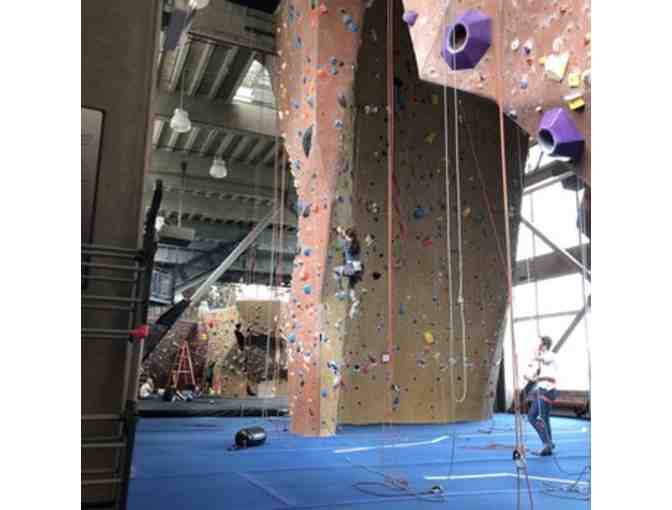 Introduction to Rope Climbing for Two at Movement Gyms San Francisco