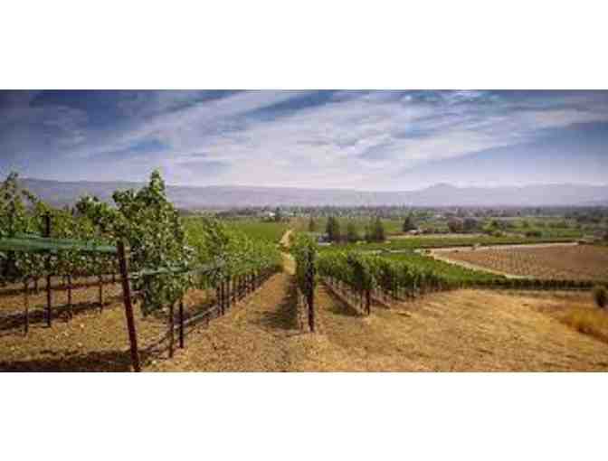 2019 Dakota Shy Wine Estate Cabernet Sauvignon - Napa Valley