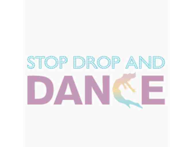 Dance Workout Party from Stop, Drop and Dance!