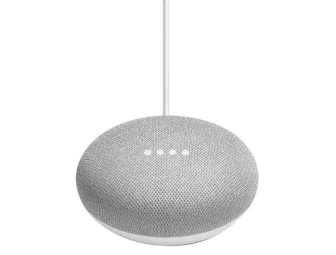 Google Home Hub and Home Mini Speaker