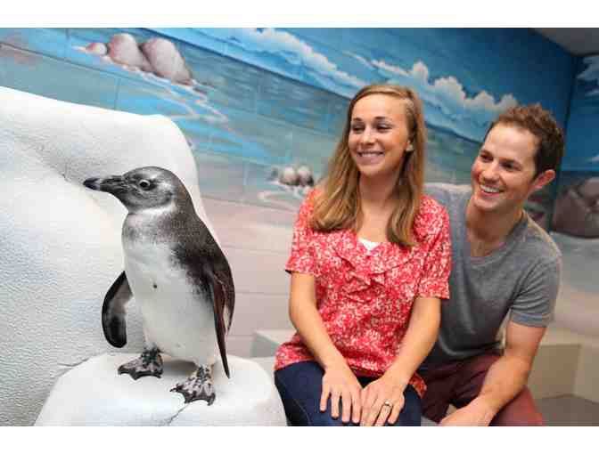 Georgia Aquarium Penguin Ecounter and Admission for Two
