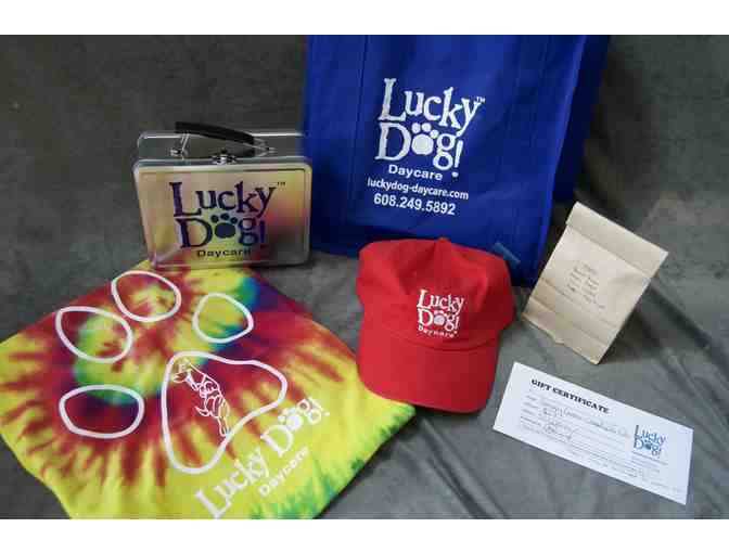 Coffee & Dog Lovers: Package - Photo 4