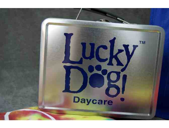 Coffee & Dog Lovers: Package - Photo 10