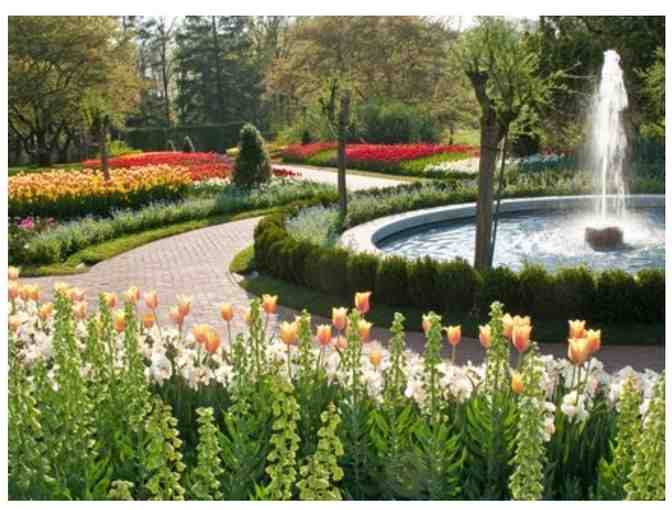 Look and Breathe - Gift Certificate for Longwood Gardens