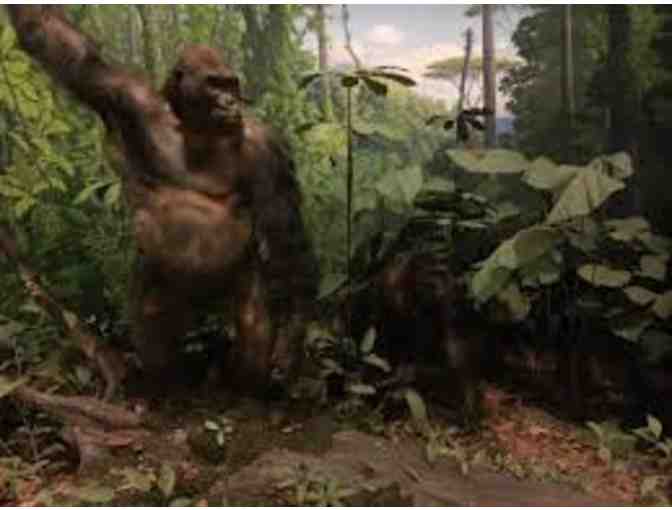 Dinosaurs Galore! - Two Passes to Academy of Natural Sciences