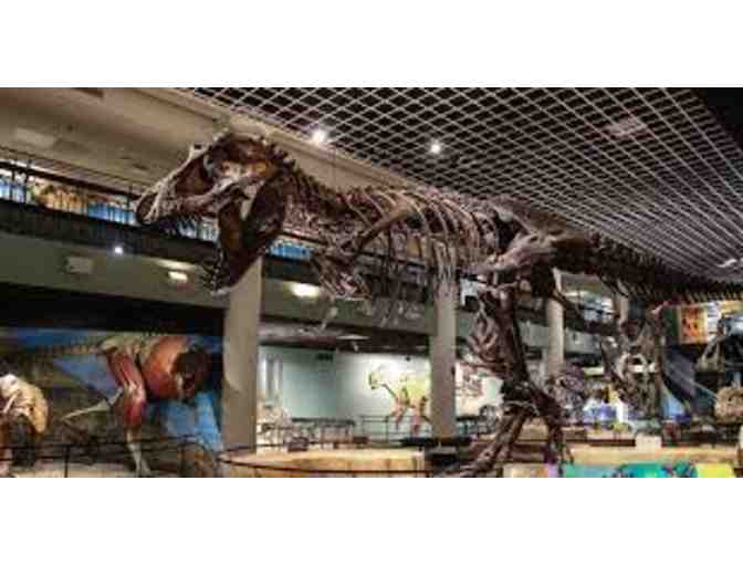 Dinosaurs Galore! - Two Passes to Academy of Natural Sciences
