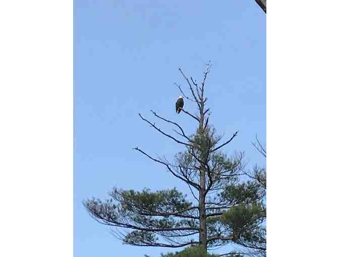 Into the Woods - New Hampshire Cabin Getaway - Photo 8