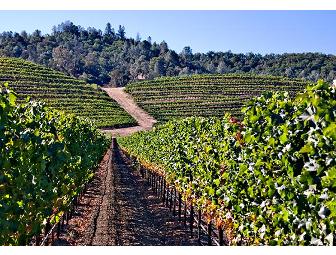 Case of Wine from Frey Organic Vineyards