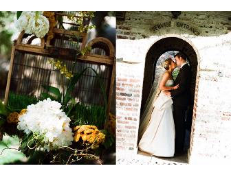 A Photo Session with Lisa Franchot