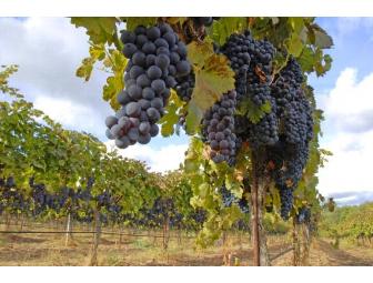 Case of Wine from Frey Organic Vineyards