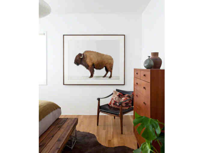 AMERICAN BUFFALO Framed Photograph