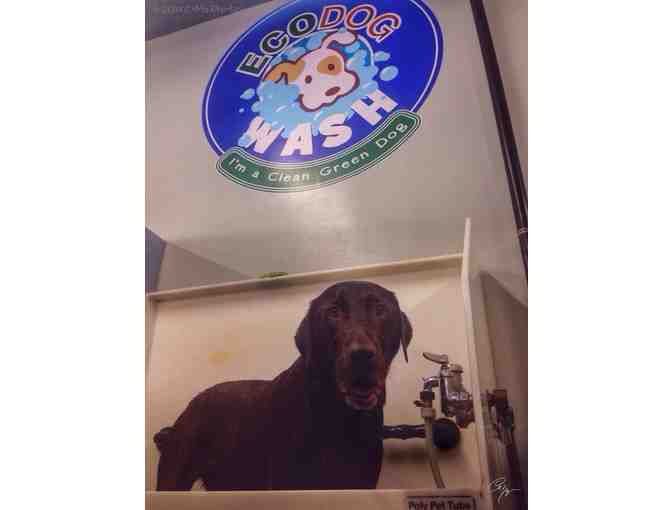 Eco Dog Wash 5 Day Pass For Cage-Free Daycare & a simply great bath