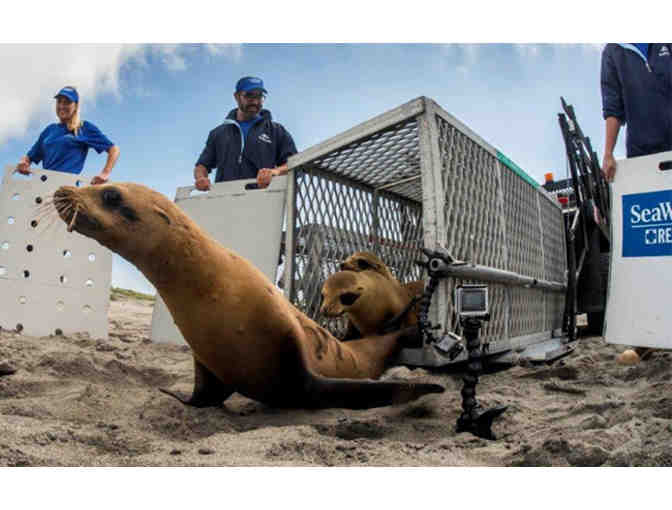 4 Admission Tickets to Seaworld San Diego