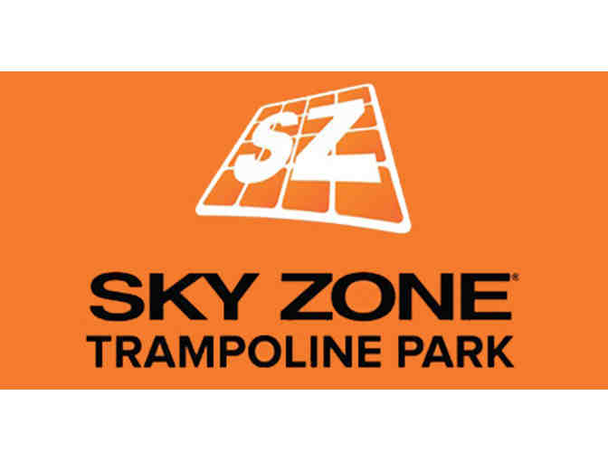 4 One Hour Jump Passes to Sky Zone Los Angeles - Photo 1