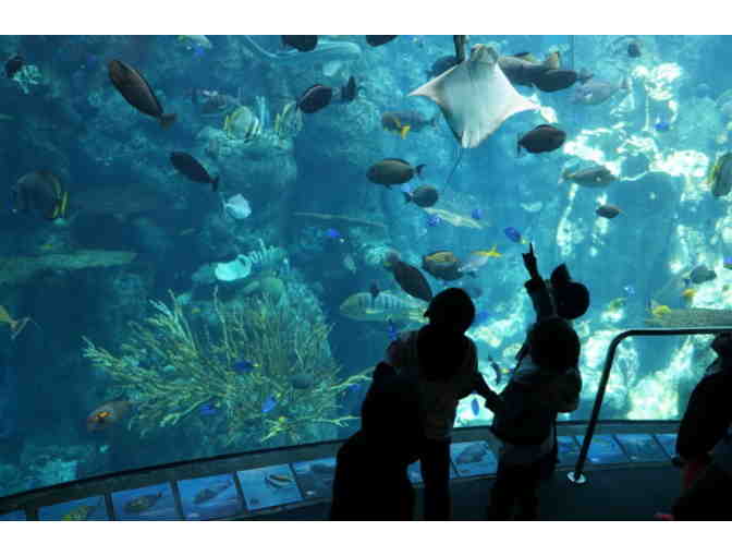2 Tickets to Aquarium of The Pacific In Long Beach