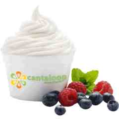 Cantaloop Yogurt