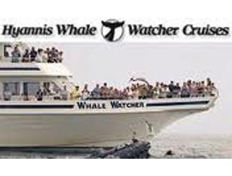 Whale Watch Cruise for Two