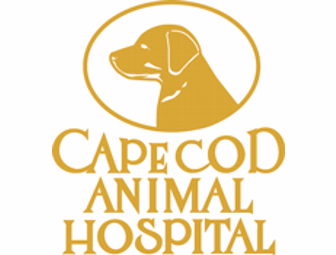 Nail Trimming and Flea and Tick Preventative