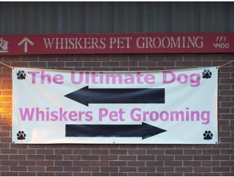 Gift Basket for Small Breed Dogs