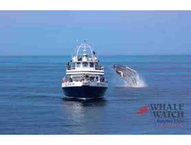 Whale Watch for Two