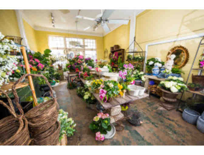 Anita's Garden Shop - Live Floral Arrangement