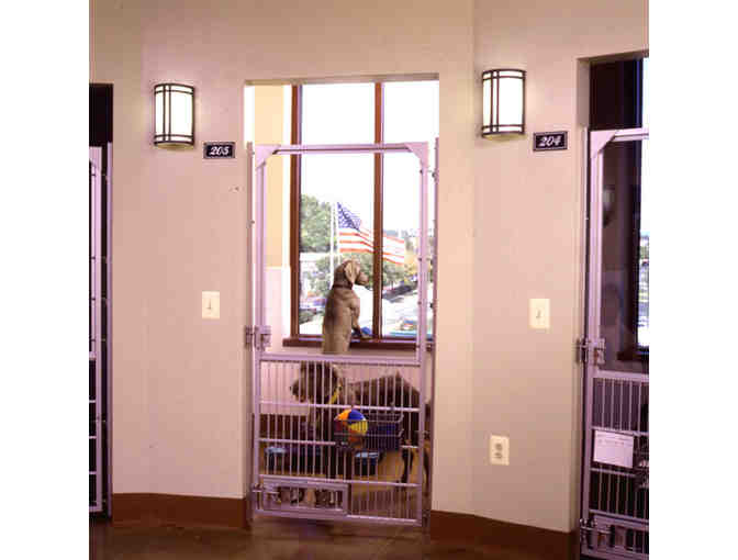 Olde Towne Pet Resort