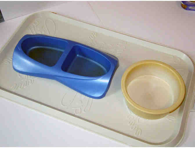 THE BASIC CAT KIT FOR YOUR KITTY CAT- Food, Bowls, Litter and Bin. FV-04