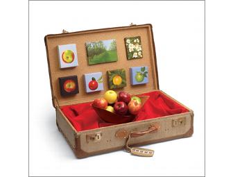 Lux Art Valise Project for a Classroom