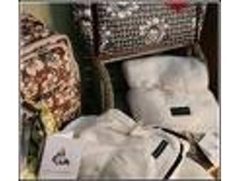 Magical Child $40 Gift Certificate