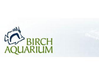 Field Trip to Birch Aquarium, UCSD, and Lunch with Srta. Martin