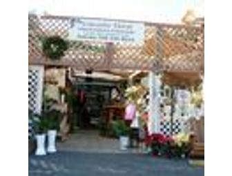 Leucadia Floral aka The Plant Lady