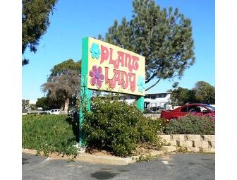 Leucadia Floral aka The Plant Lady
