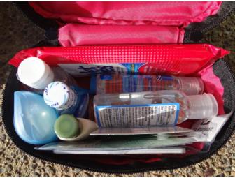 Car Emergency Kit - Mrs. Piper's Class