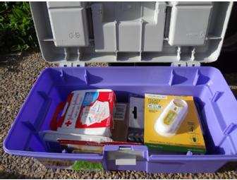 Car Emergency Kit - Mrs. Piper's Class