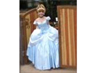 Enchanting Princess Birthday Visit and Storytime