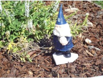 Padres Super Fan Memorabilia Package