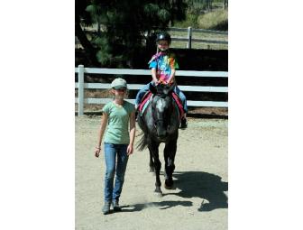 1 1/2 Hour English Riding Lesson - Value $65