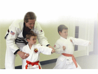 1 Week of Spring or Summer Karate Camp