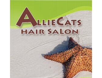 Allie Cats Hair Salon and KMS Haircare Products Gift Bag