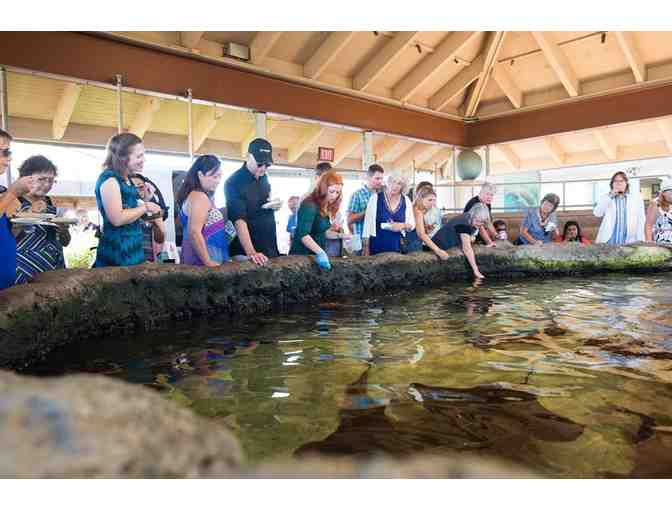 Living Coast Discovery Center - Family Four Pack Admissions