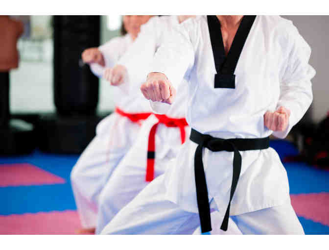 The Academy of Freestyle Martial Arts - 90 Minute Martial Arts Self-Defense Session for 12