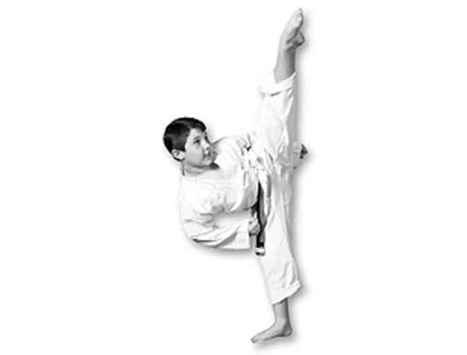 Encinitas Karate - Karate Birthday Party