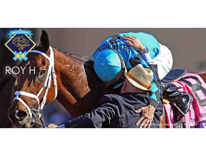 LIVE at GALA - VIP Day at the Races this Summer - Peter Miller Racing Stable, Inc.