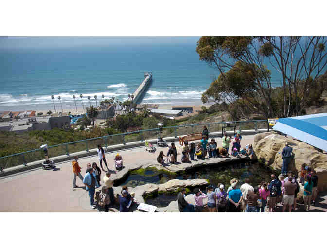 Birch Aquarium and Lunch with Sra. Santolalla