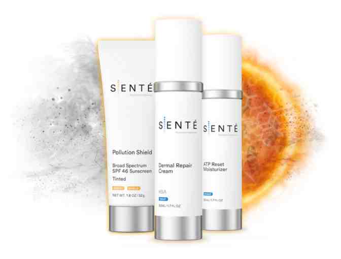 SENTE Product Bag