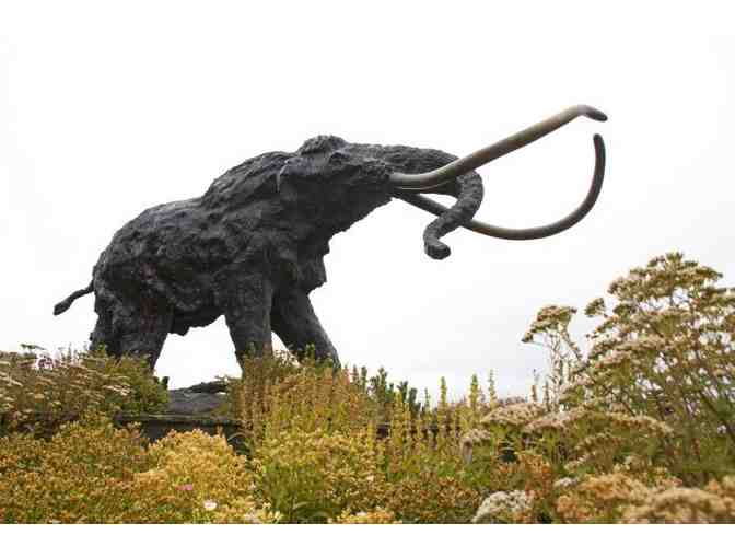 Mammoth Lakes Fall/Winter Escape - 1 Week